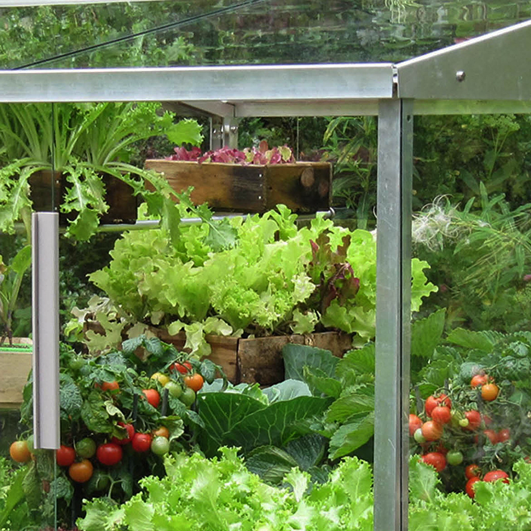 Homebridge Garden Mini Greenhouses