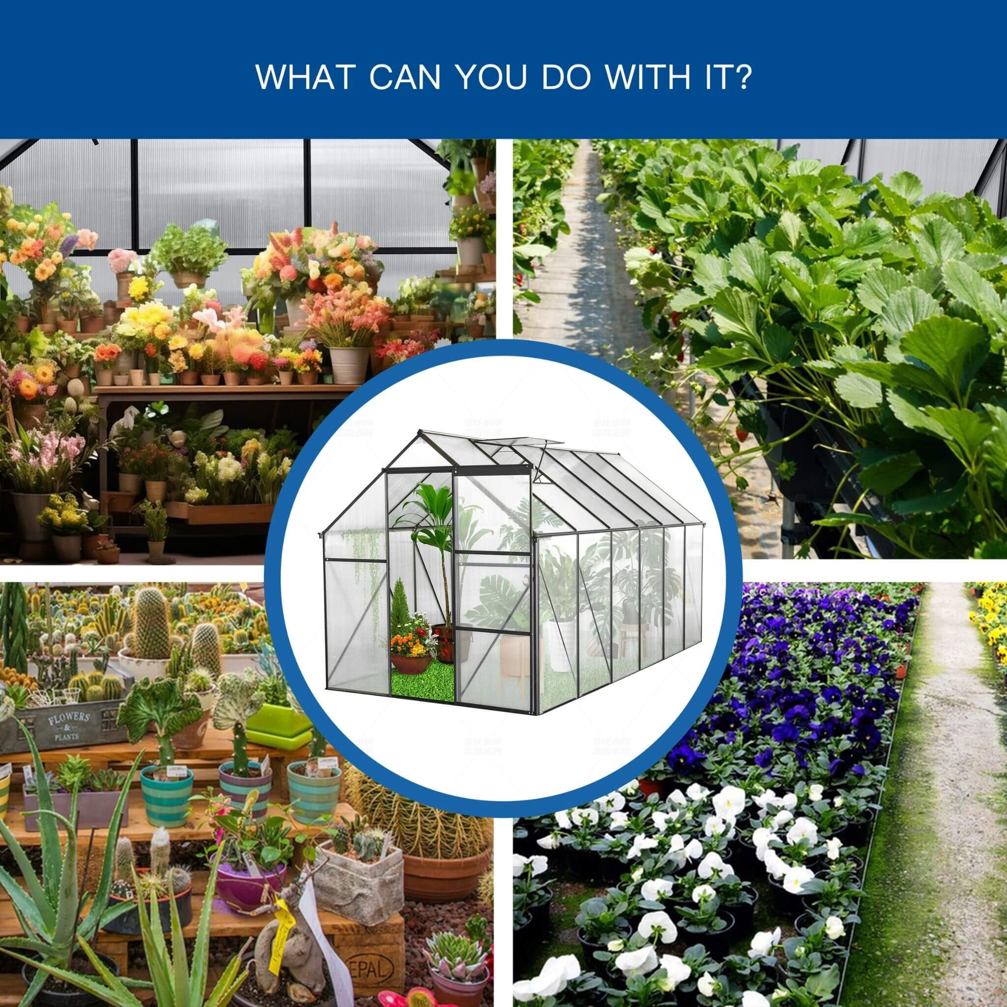 6X12 FT Alora Heavy-Duty Black Polycarbonate Greenhouse With Raised Base And Anchor (SAK92451)